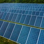 Farms That Generate Food & Power